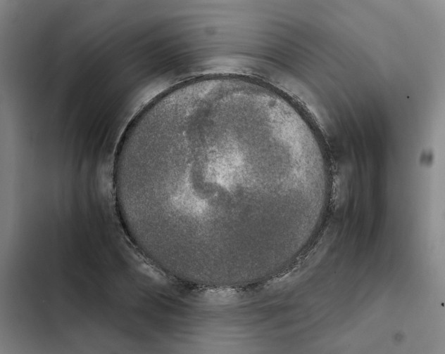 X0000102370882200808291246