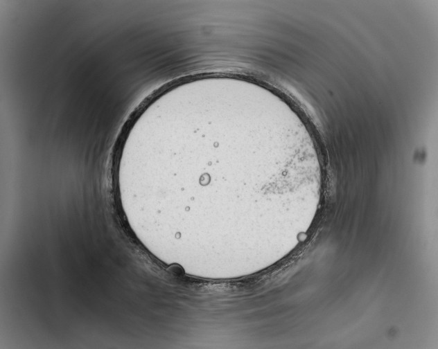 X0000102370883200808291246