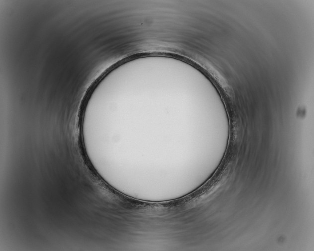 X0000102370885200808291246