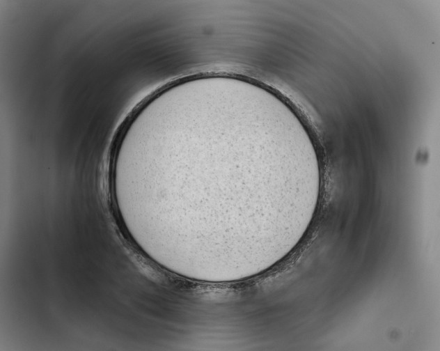 X0000102370886200808291246