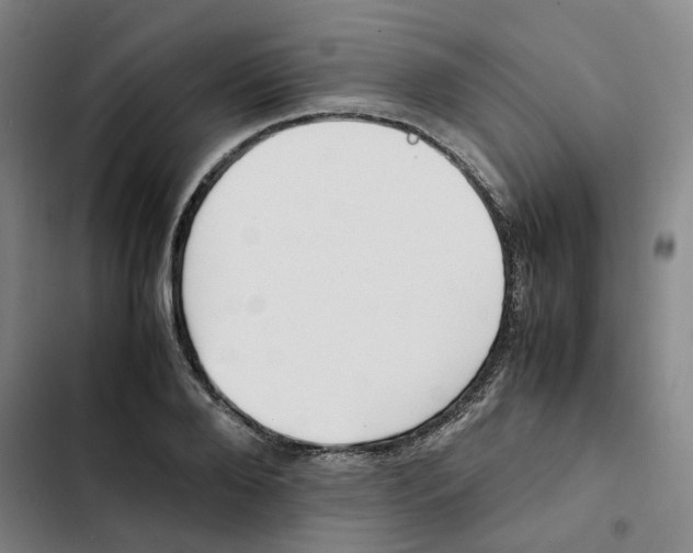 X0000102370888200808291246