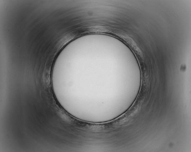 X0000102370889200808291246