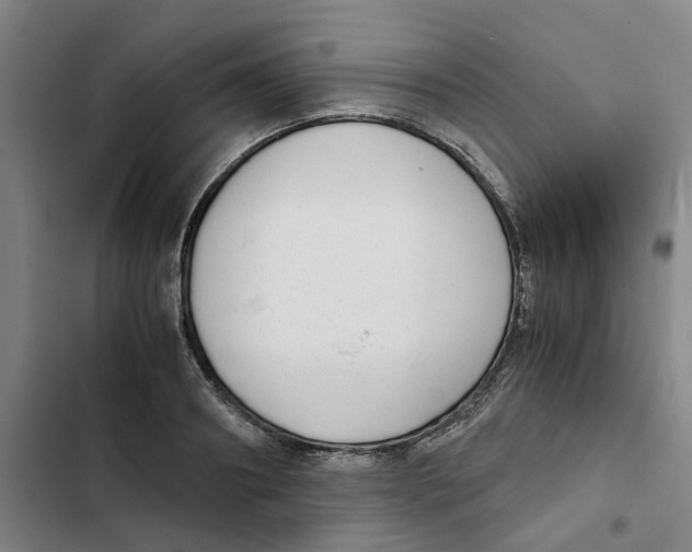 X0000102370890200808291246