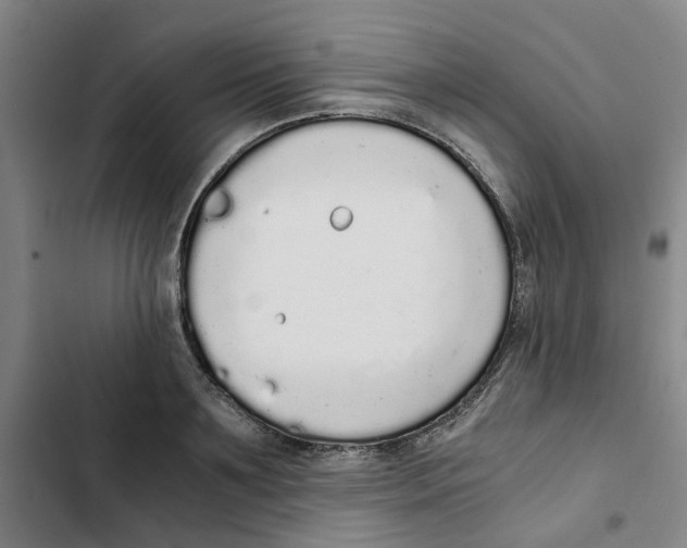 X0000102370891200808291246