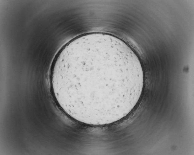 X0000102370892200808291246