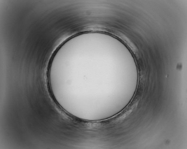X0000102370893200808291246