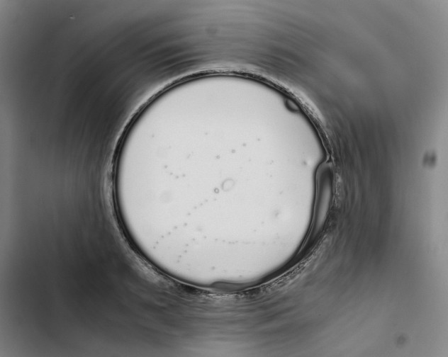 X0000102370895200808291246