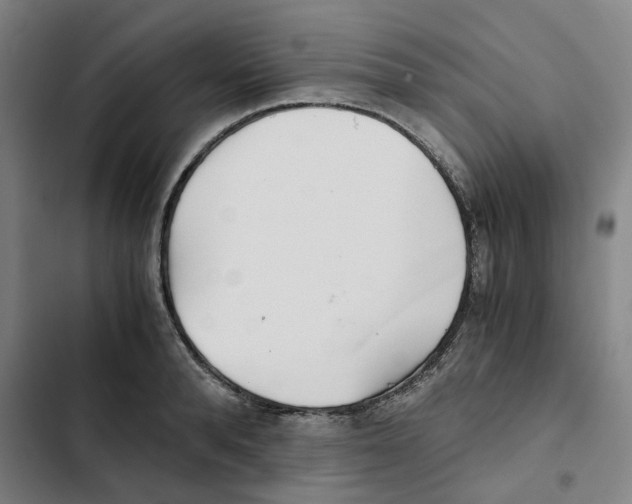 X0000102370896200808291246