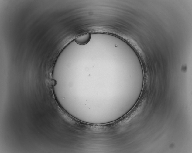 X0000102370897200808291246