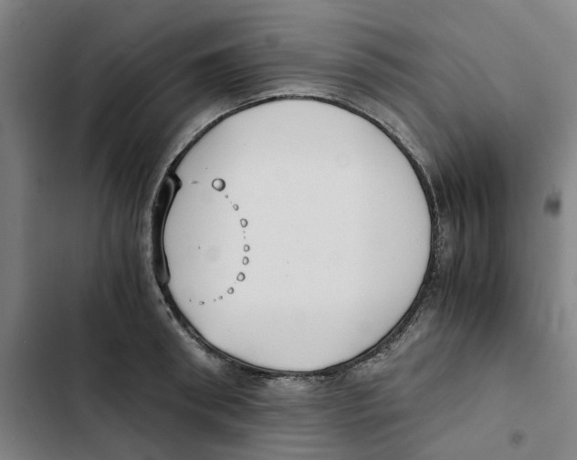 X0000102370898200808291246