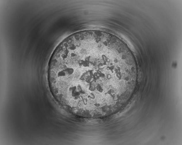 X0000102370899200808291246