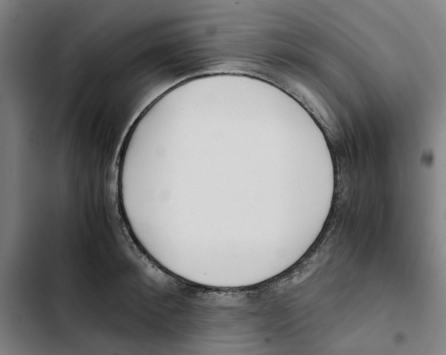 X0000102370900200808291246