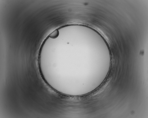 X0000102370901200808291246