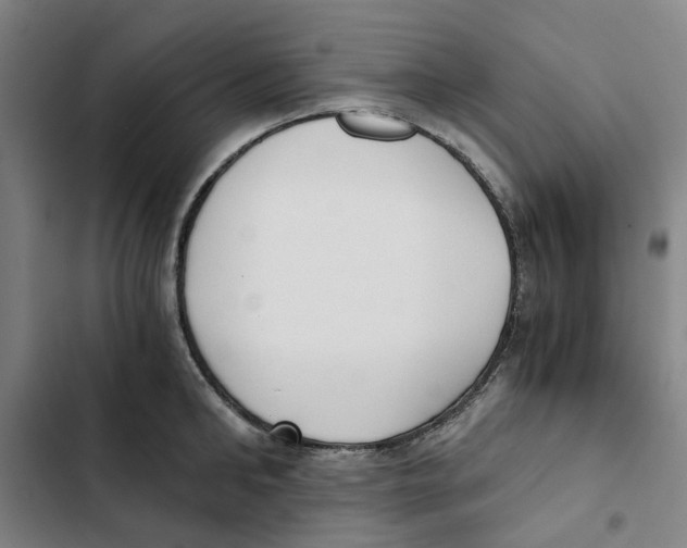 X0000102370902200808291246