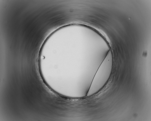 X0000102370903200808291246