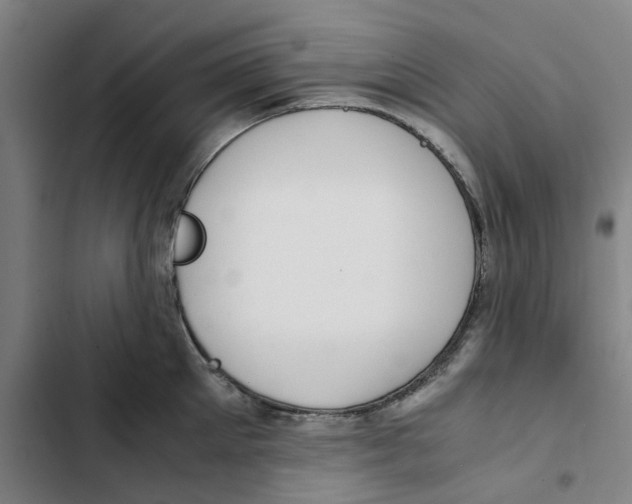 X0000102370905200808291246