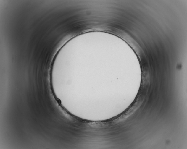 X0000102370906200808291246