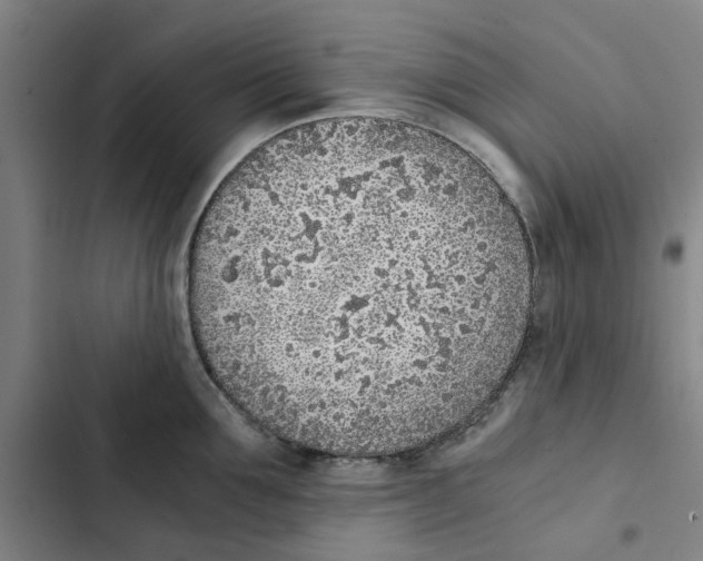 X0000102370907200808291246