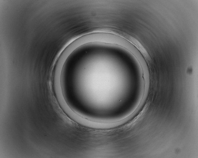 X0000102370908200808291246