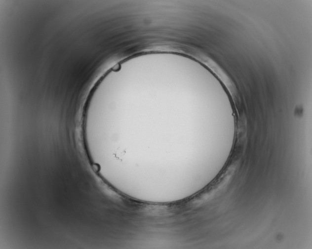 X0000102370909200808291245