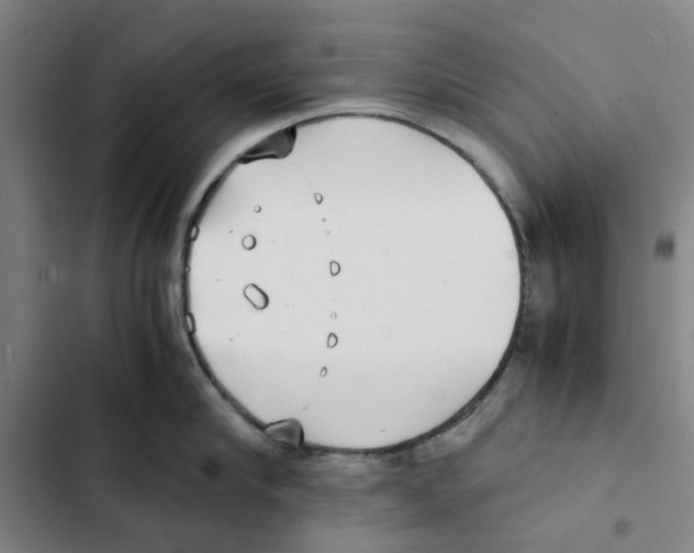 X0000102370910200808291245