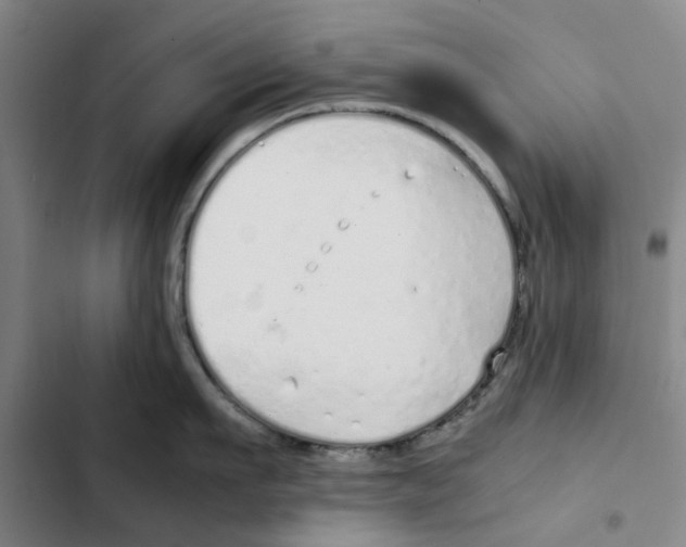 X0000102370911200808291245