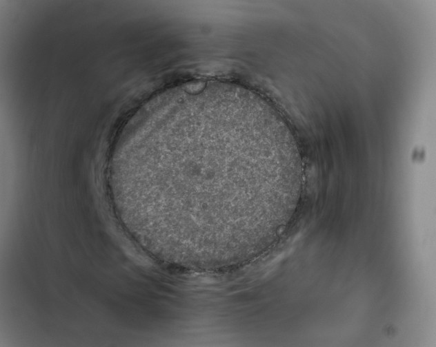 X0000102370913200808291245