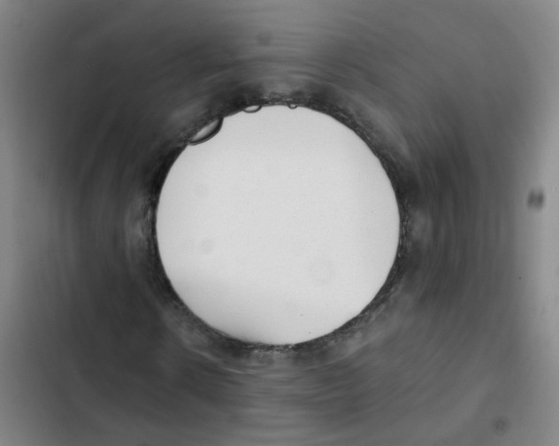 X0000102370914200808291245