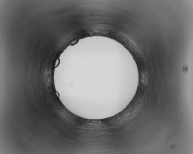 X0000102370915200808291245