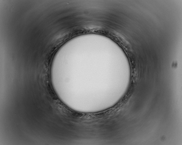 X0000102370917200808291245