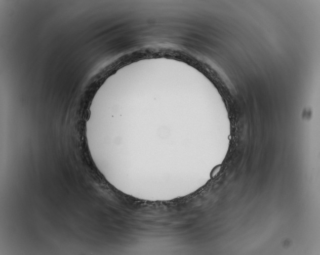 X0000102370919200808291245