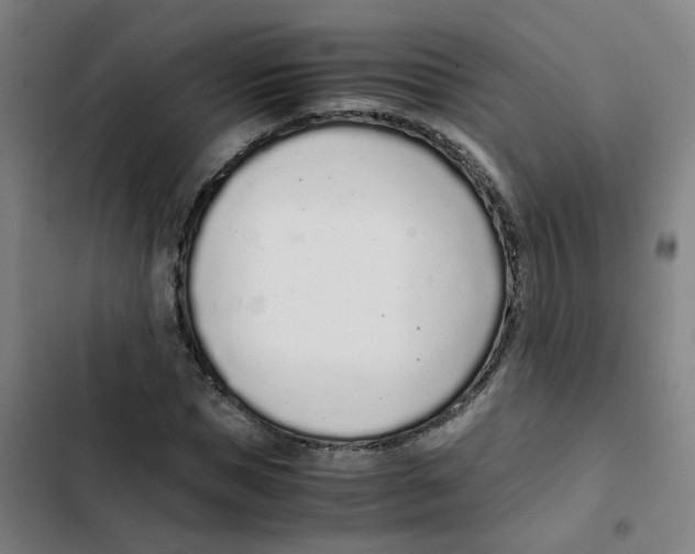 X0000102370921200808291245