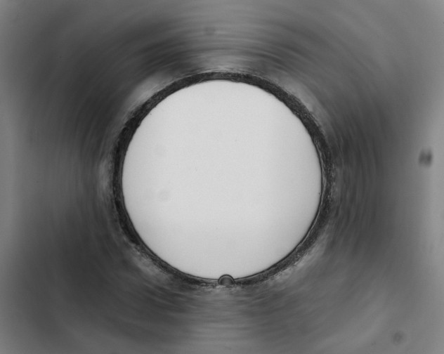 X0000102370922200808291245