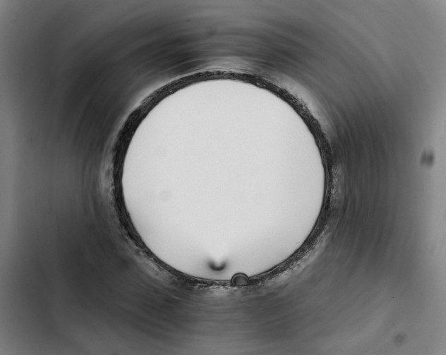 X0000102370923200808291245