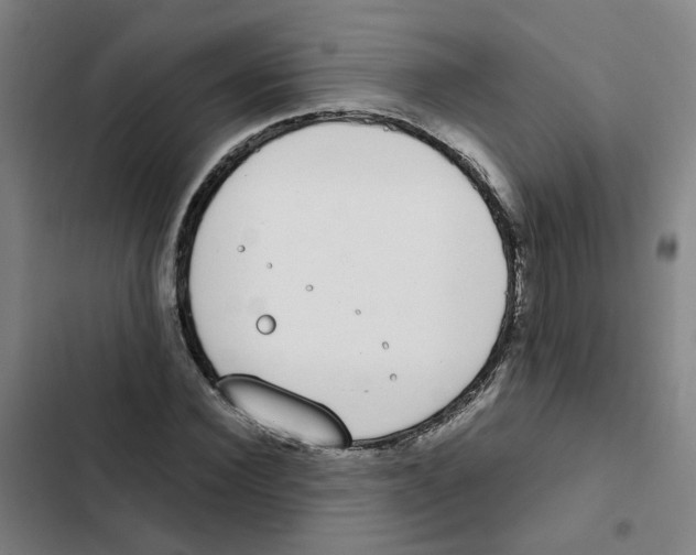 X0000102370924200808291245