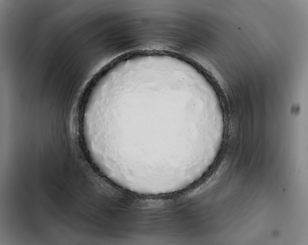 X0000102370925200808291245