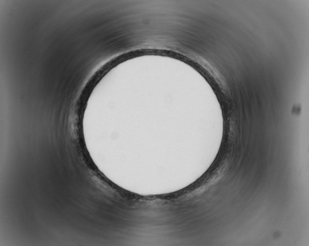 X0000102370926200808291245