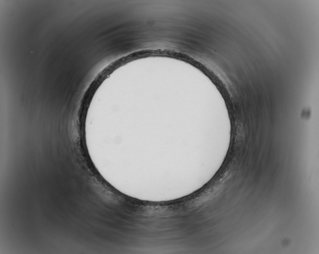 X0000102370927200808291245