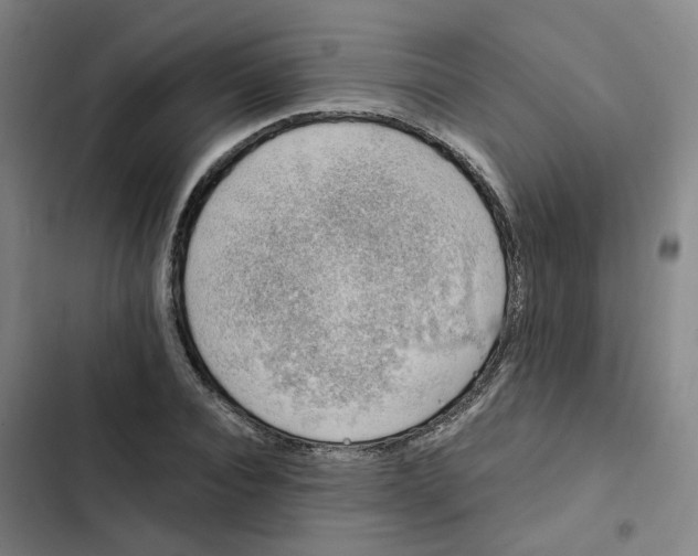 X0000102370928200808291245
