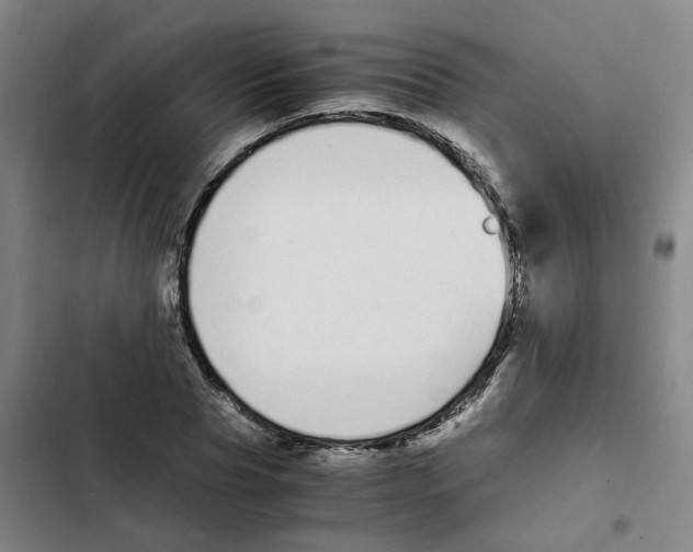 X0000102370929200808291245