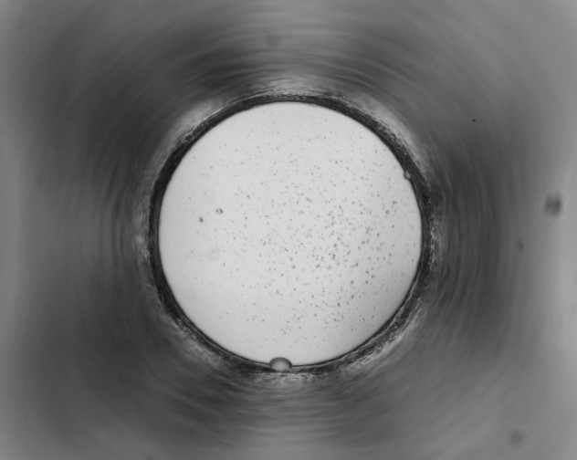X0000102370930200808291245