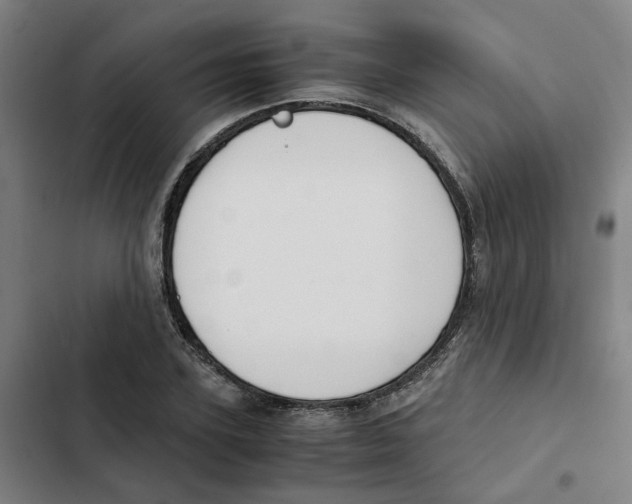 X0000102370931200808291245
