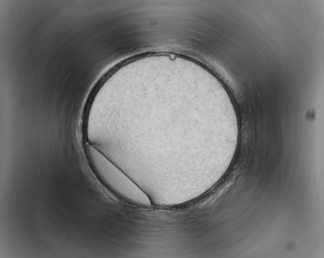 X0000102370932200808291245