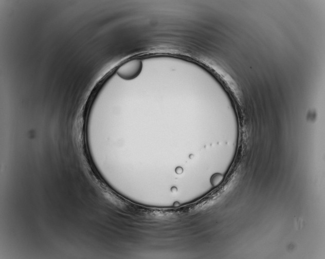 X0000102370933200808291245