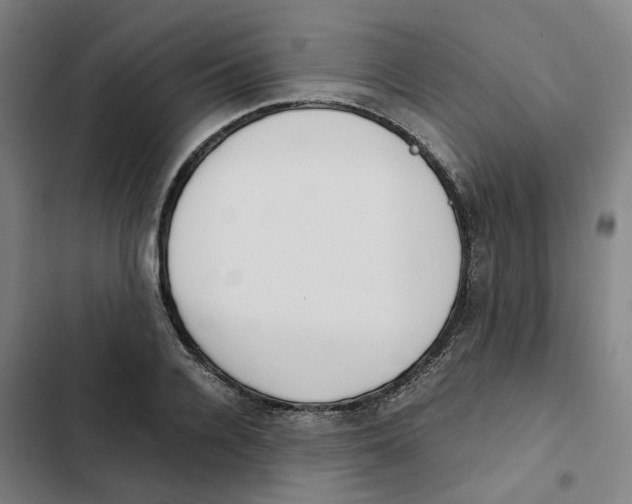 X0000102370936200808291245