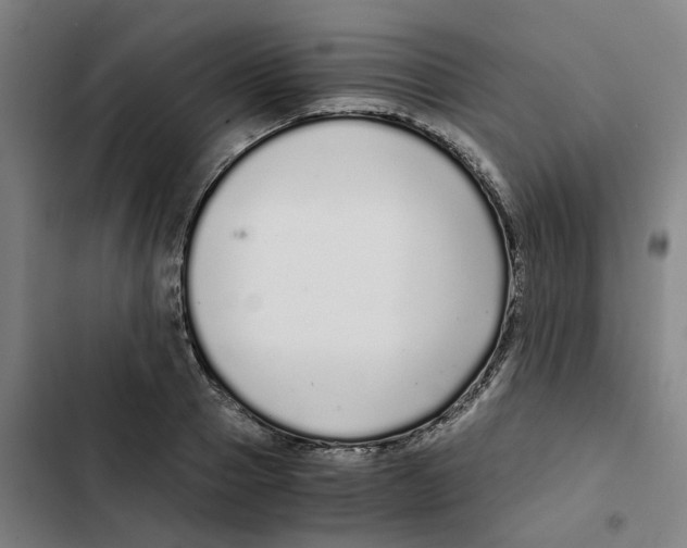 X0000102370937200808291245