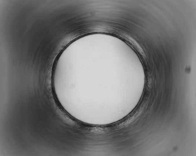 X0000102370938200808291245