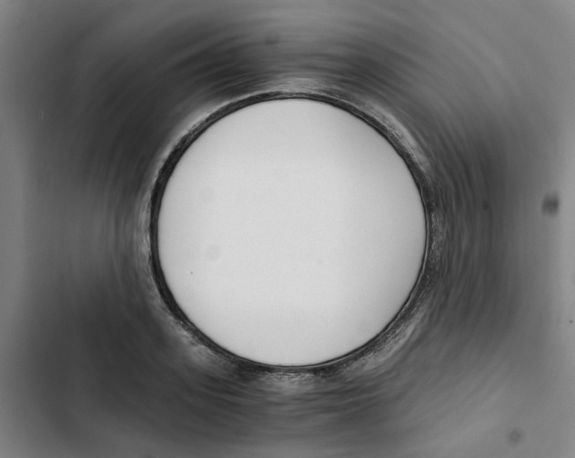 X0000102370939200808291245