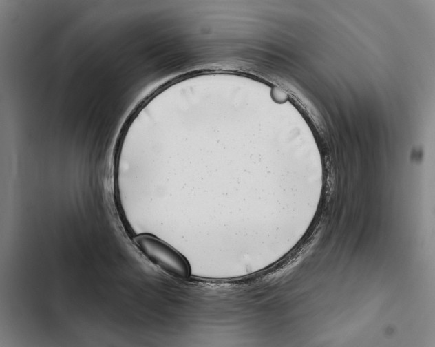 X0000102370940200808291245