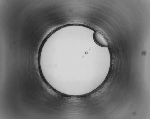 X0000102370942200808291245